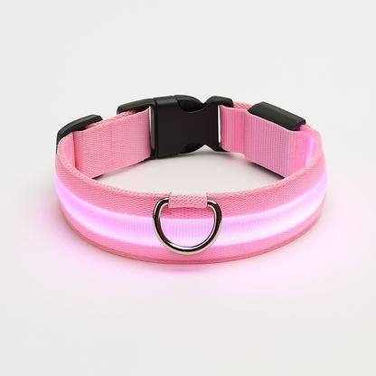 PupHub GlowCollar